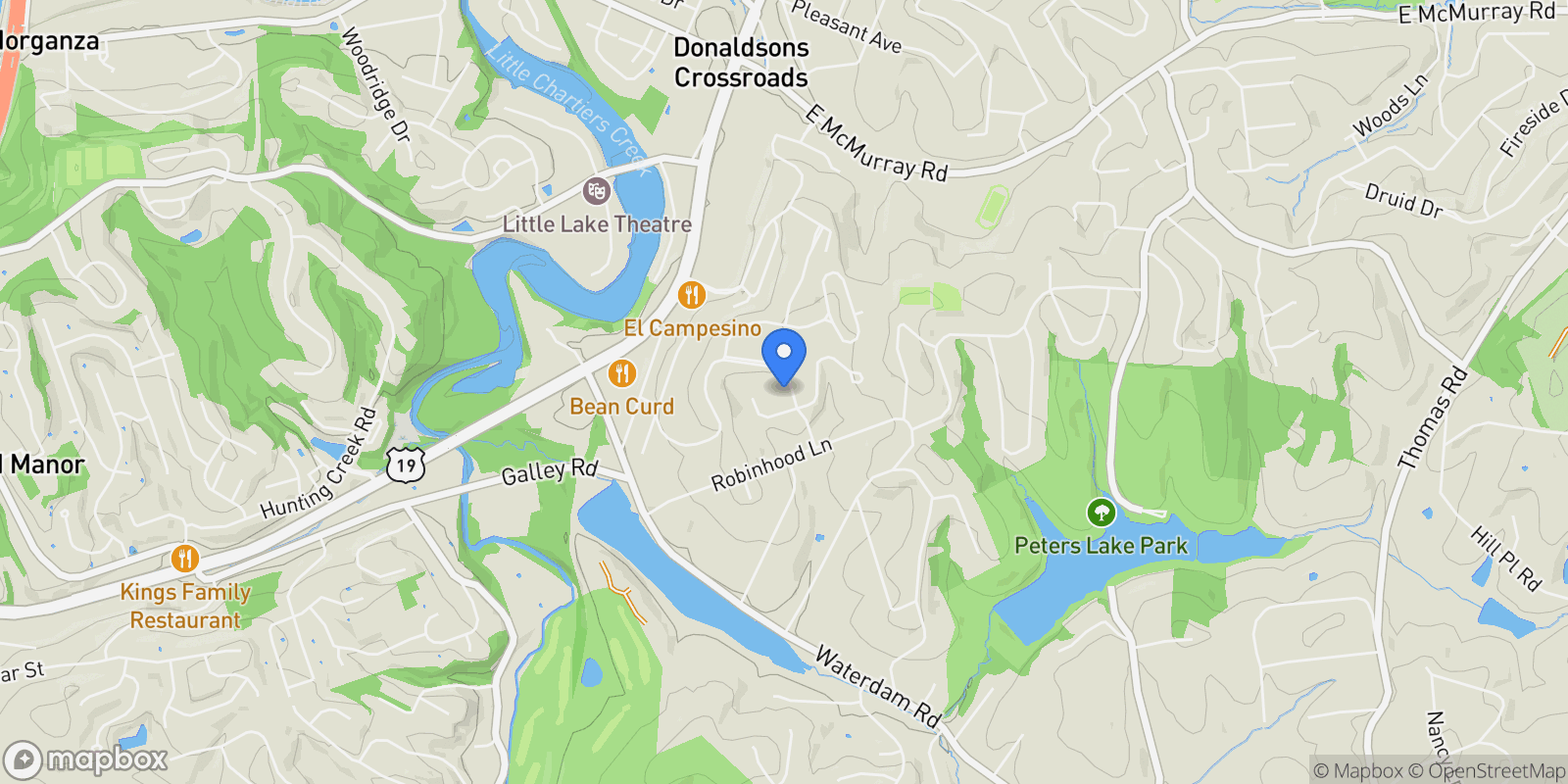 Map showing 203 King Richard, Mcmurray, PA 15317, Canonsburg, Pennsylvania, United States.