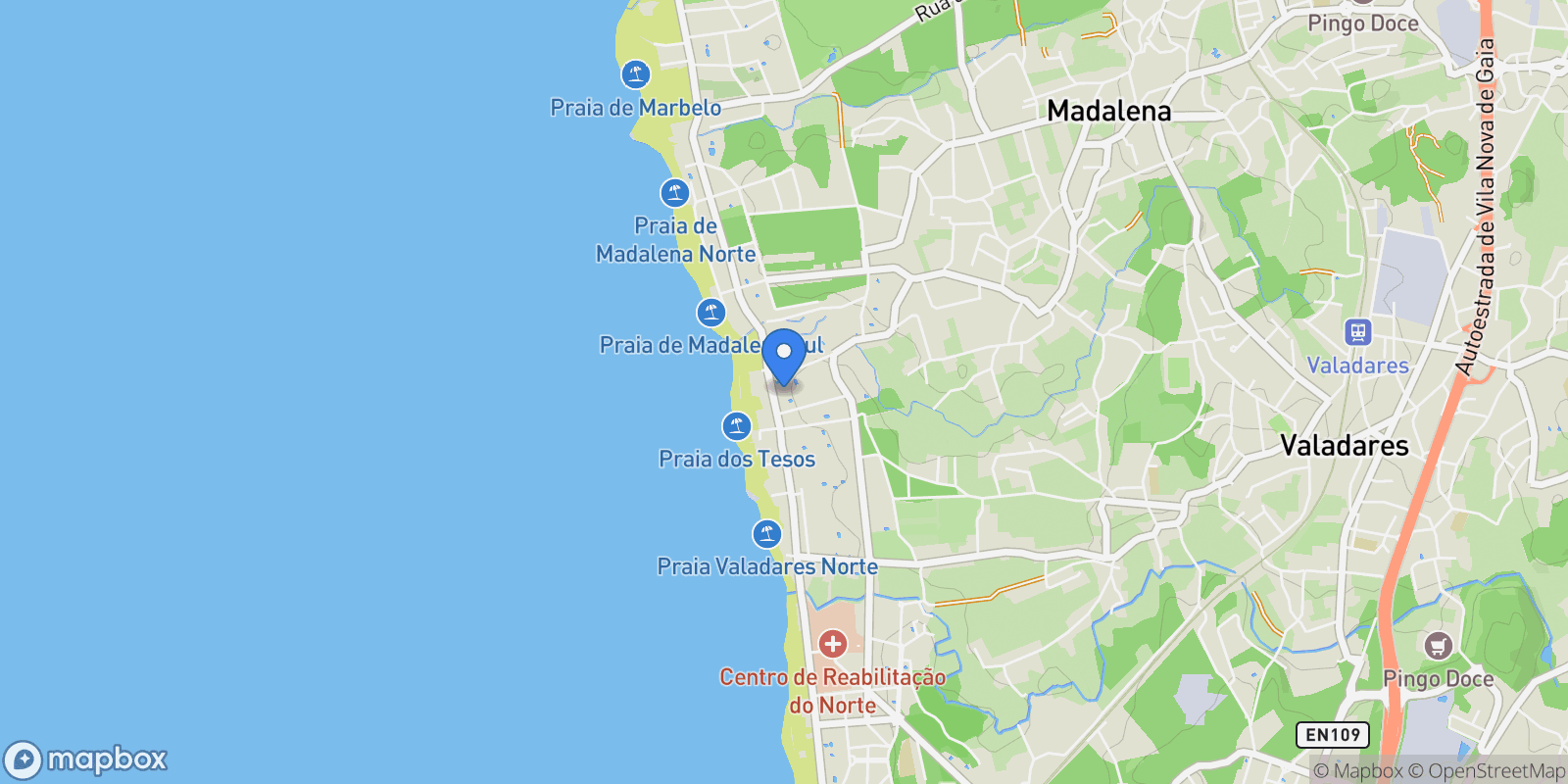 Map showing R DOS COMBATENTES 893 2 ESQ, Madalena, Porto District, Portugal.