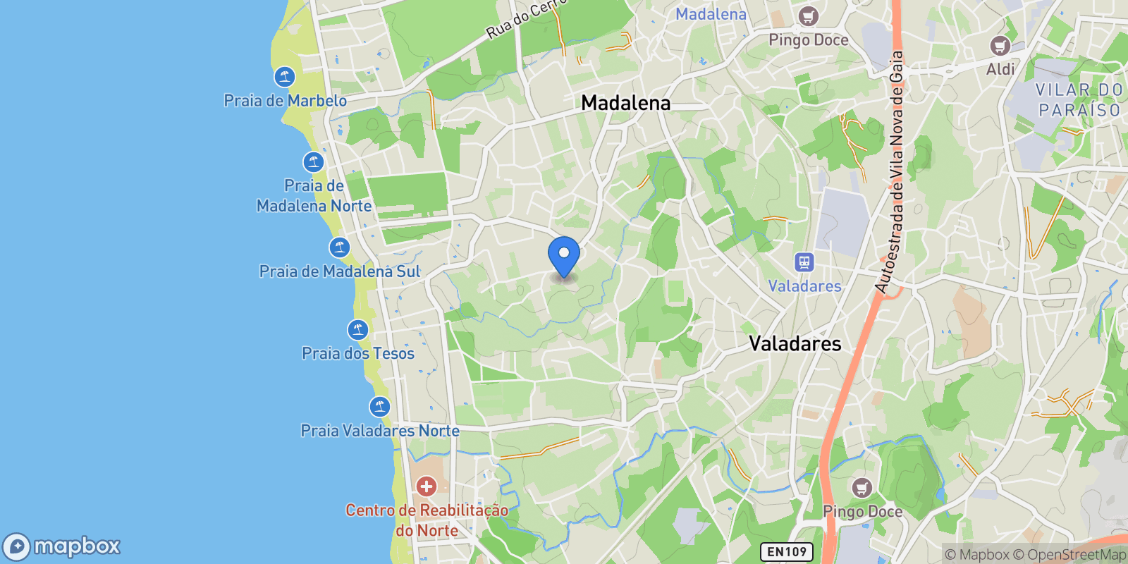 Map showing Rua do Baganço e Recanto de Suas Vilas, Madalena, Porto District, Portugal.