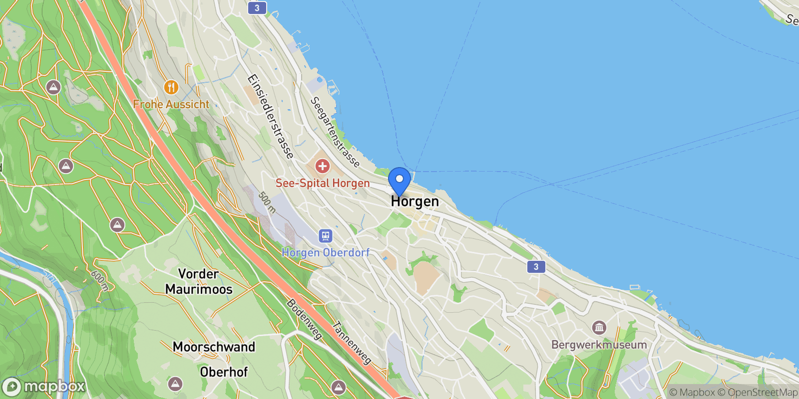 Map showing Horgen, Zurich, Switzerland.
