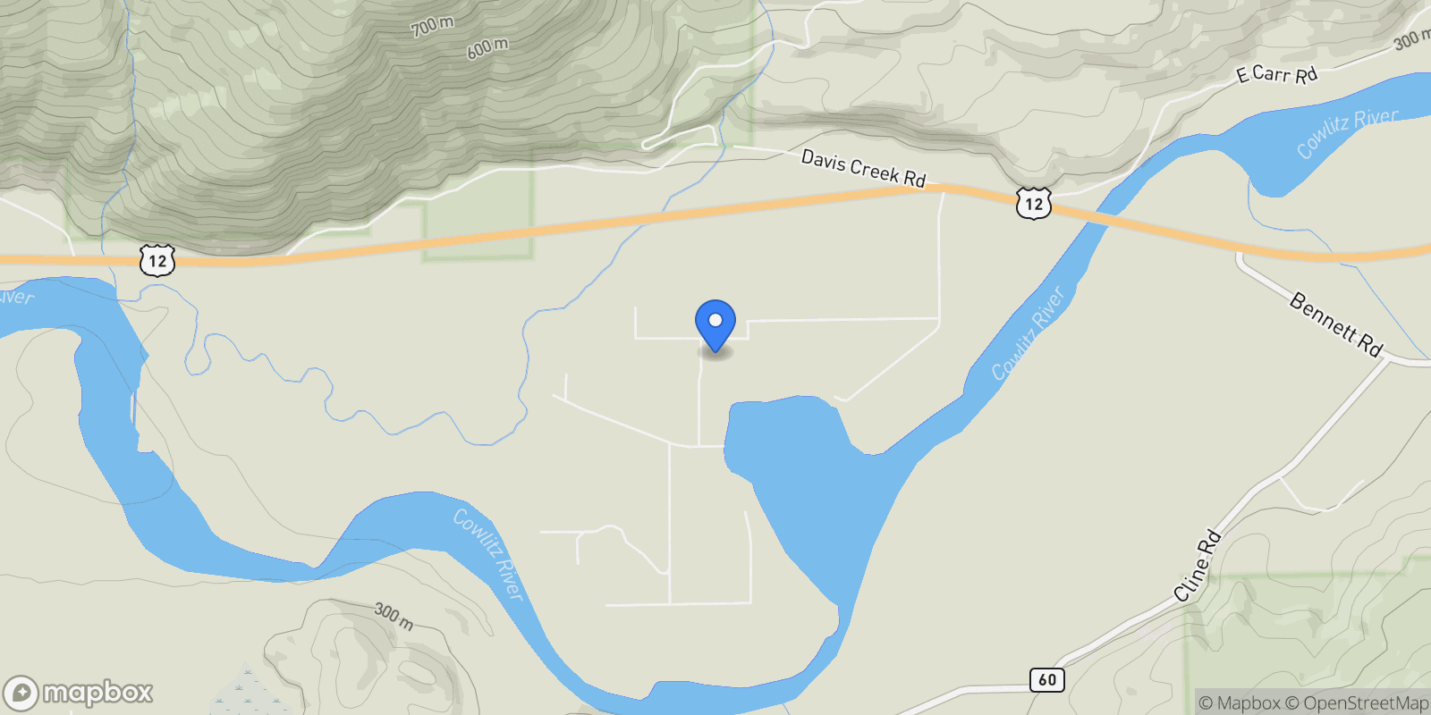 Map showing 115 Horseshoe Lane, White Pass, WA 98377, Randle, Washington, United States.
