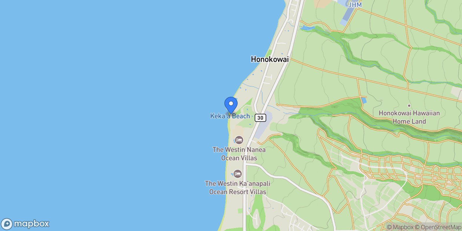 Map showing 110 KAANAPALI SHORES Pl, Lahaina, HI 96761, Lahaina, Hawaii, United States.