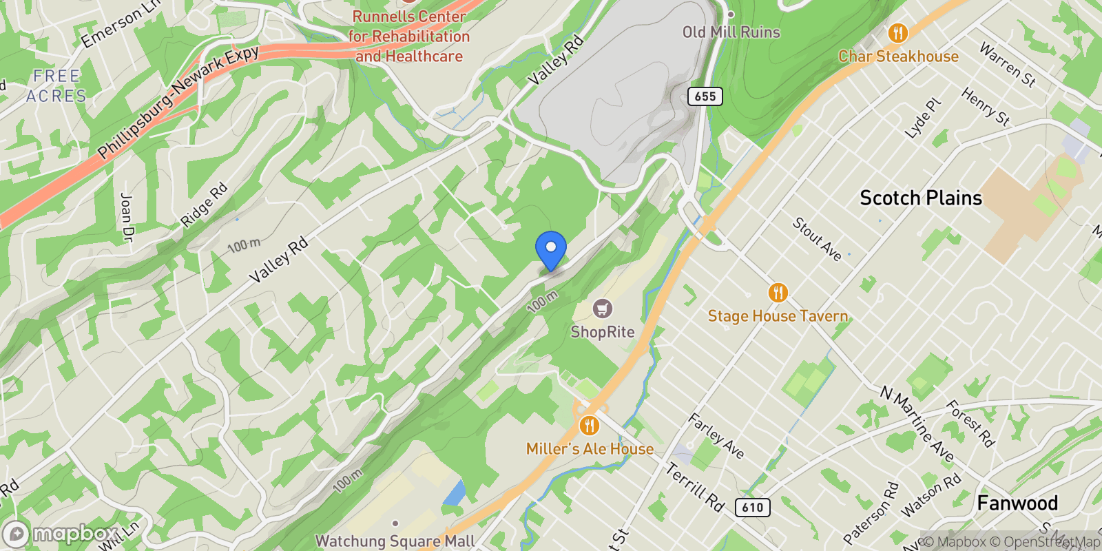 Map showing 1152 Johnston Dr, Watchung Boro, NJ 07069, Watchung, New Jersey, United States.