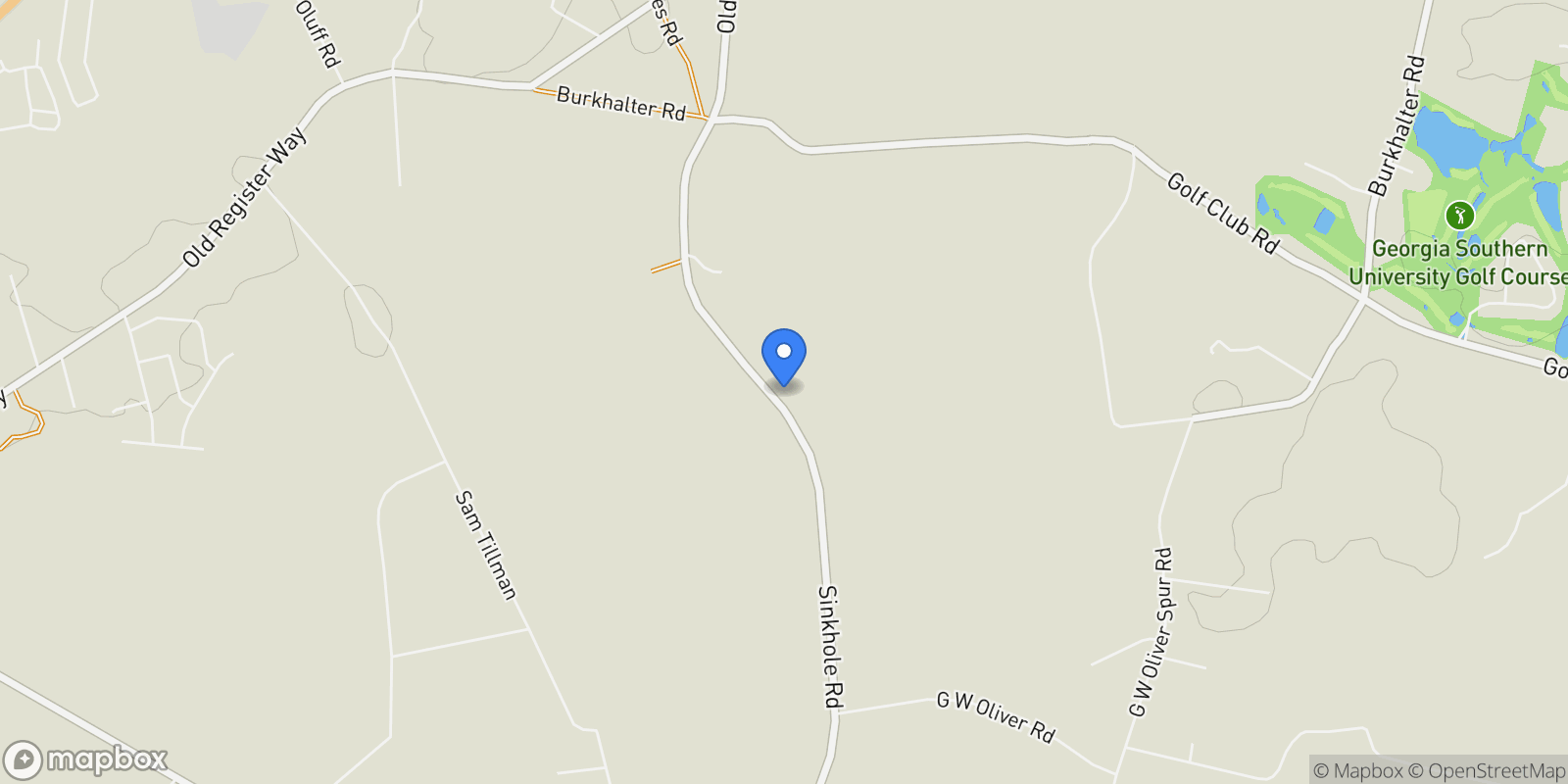 Map showing 8824 Sinkhole Road, Statesboro, Georgia, United States.