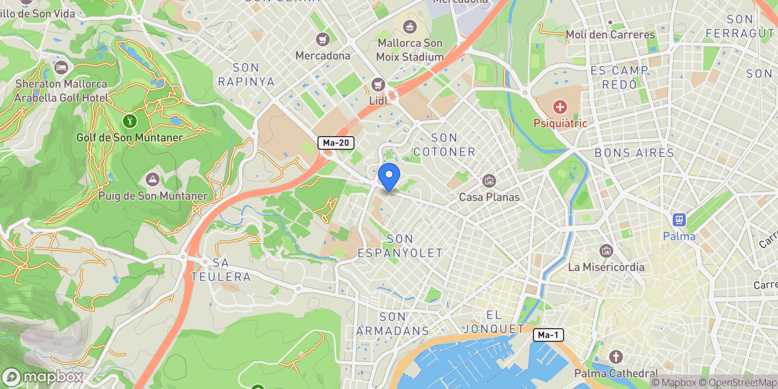 Map showing Camí de Son Vida, Palma, Balearic Islands, Spain.