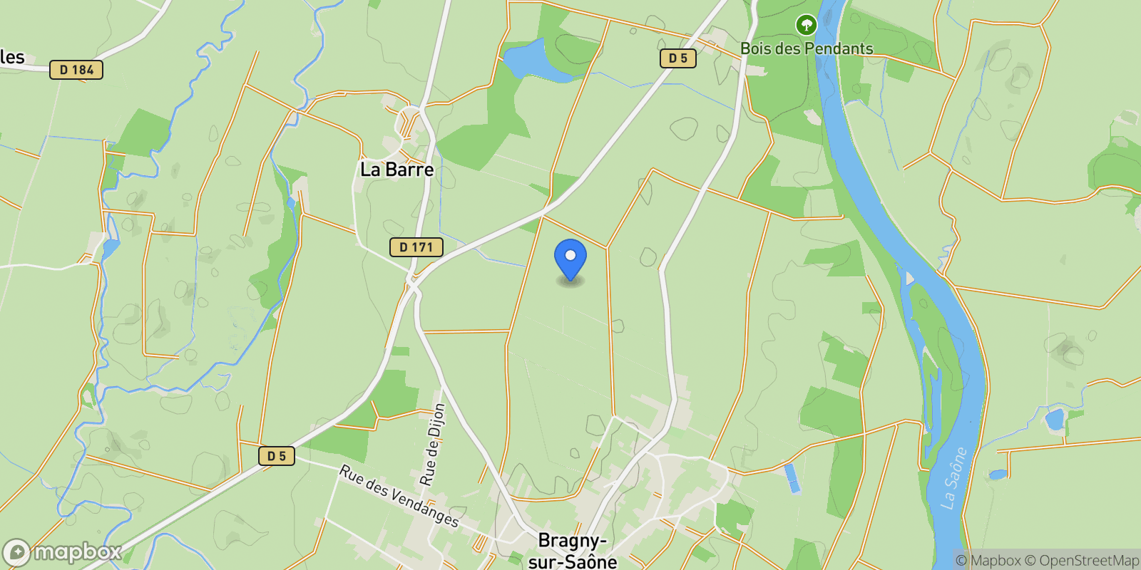 Map showing Bragny-sur-Saône, Bourgogne-Franche-Comté, France.