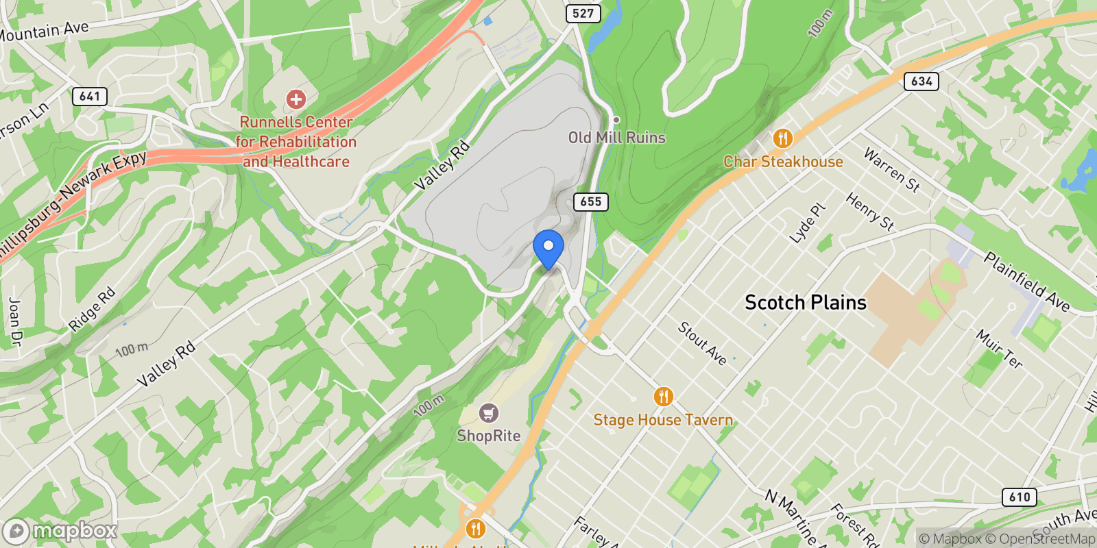 Map showing 1370 Johnston Drive, Watchung, New Jersey, United States.