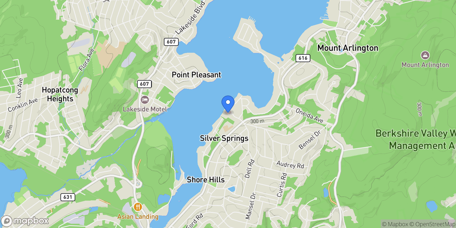 Map showing 15 Auriemma Court, Roxbury Township, New Jersey, United States.