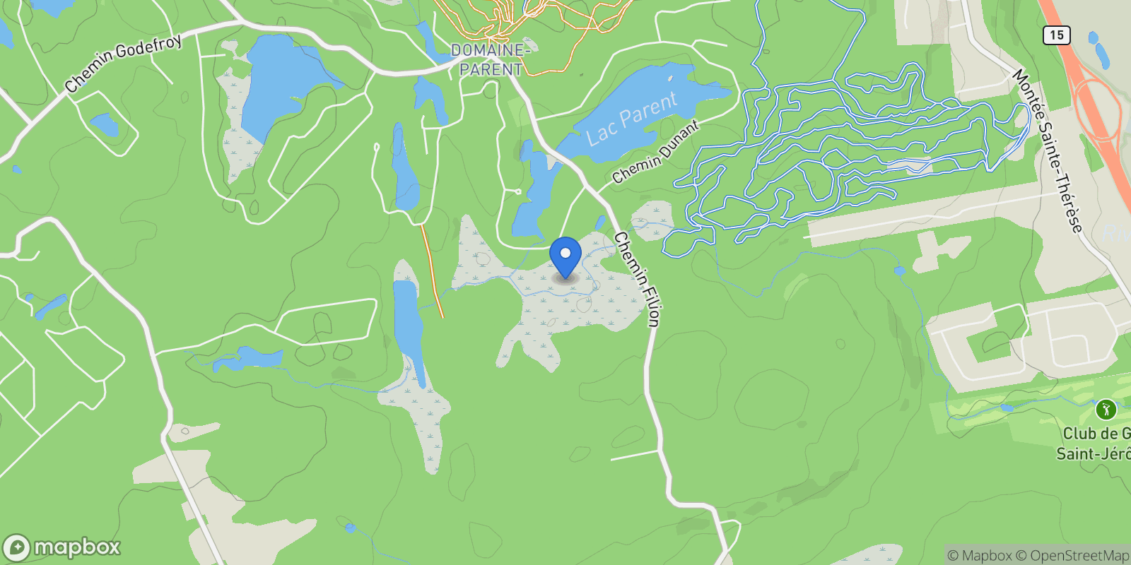 Map showing 101 Ch. des Saules, Sainte-Anne-des-Lacs, Quebec, Canada.