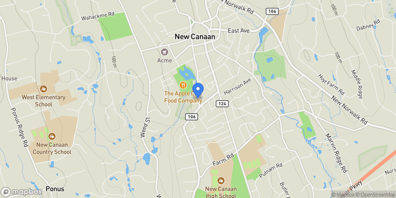 Map showing 317 Park Street, New Canaan, CT 06840, New Canaan, Connecticut, United States.