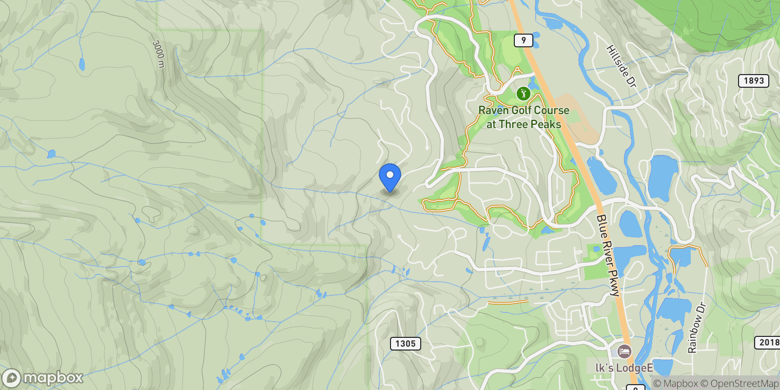 Map showing 273 Two Cabins Dr, Silverthorne, Colorado, United States.