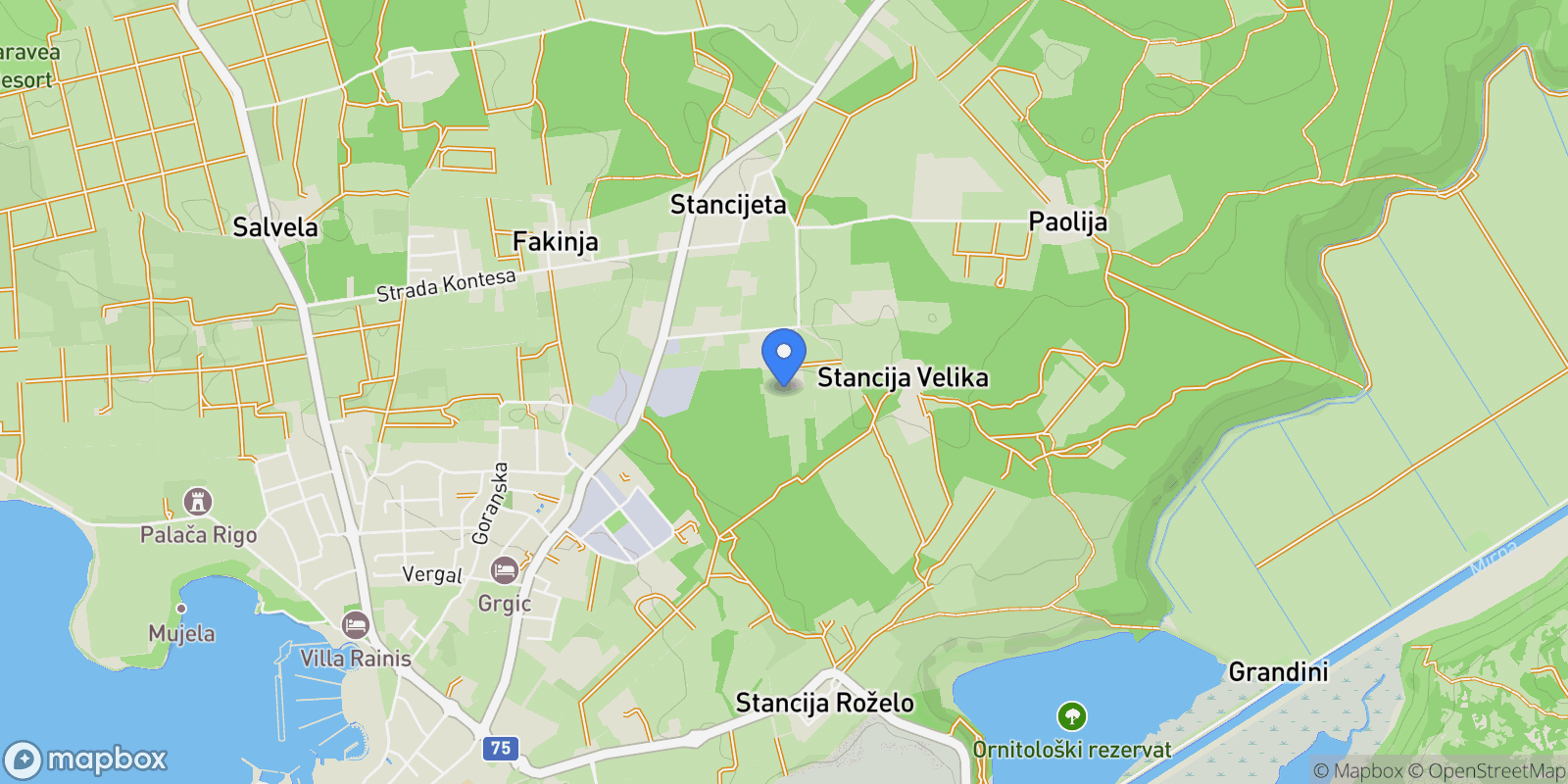 Map showing 52466, Novigrad, Croatia, Buzinija, Istria County, Croatia.