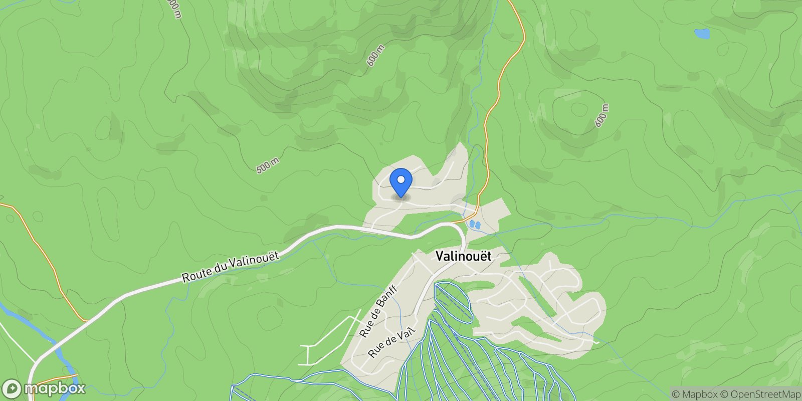Map showing Rue du Massif, Saint-David-de-Falardeau, Quebec, Canada.