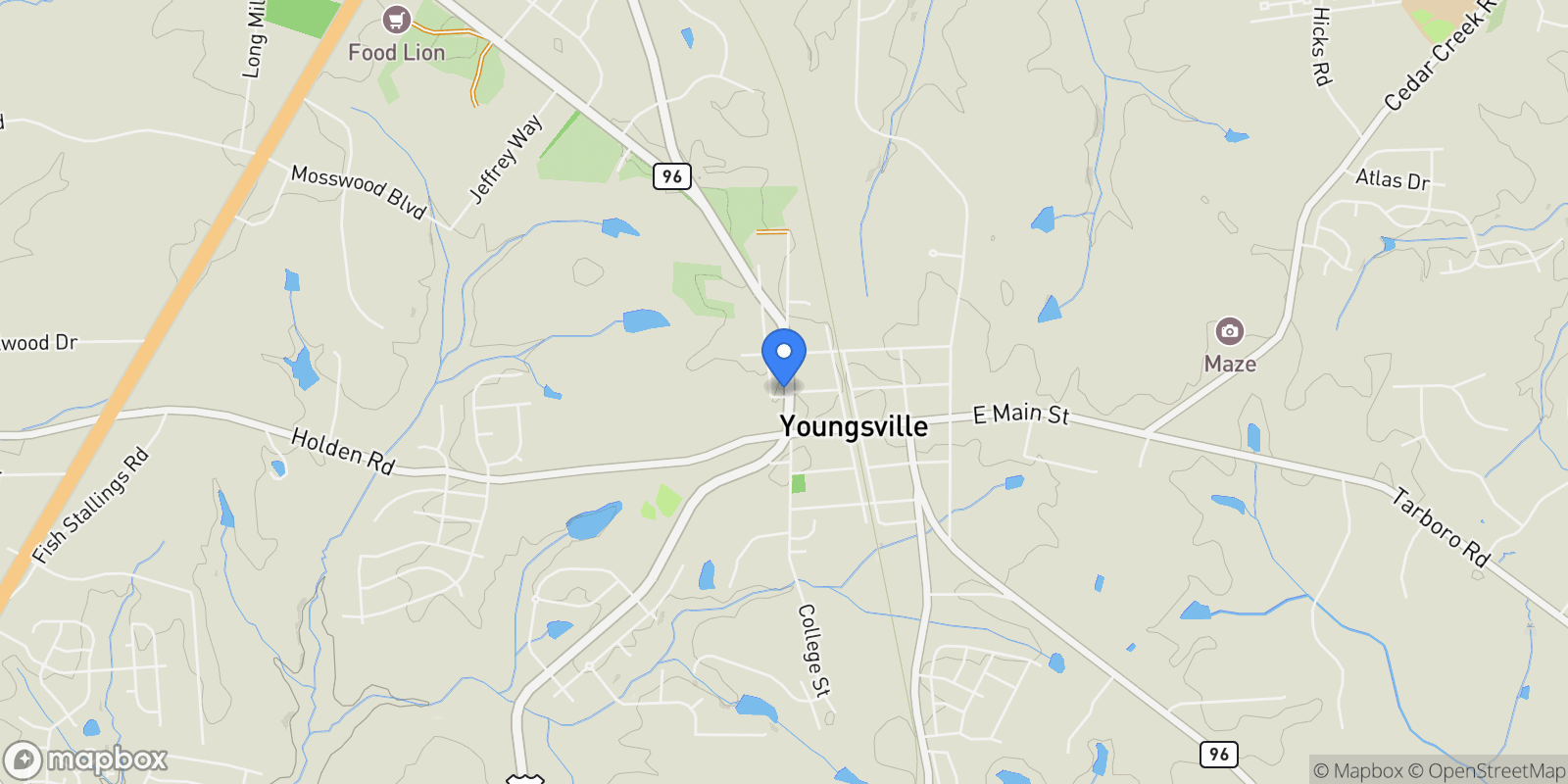 Map showing 119 N College Street, Youngsville, NC 27596, Youngsville, North Carolina, United States.