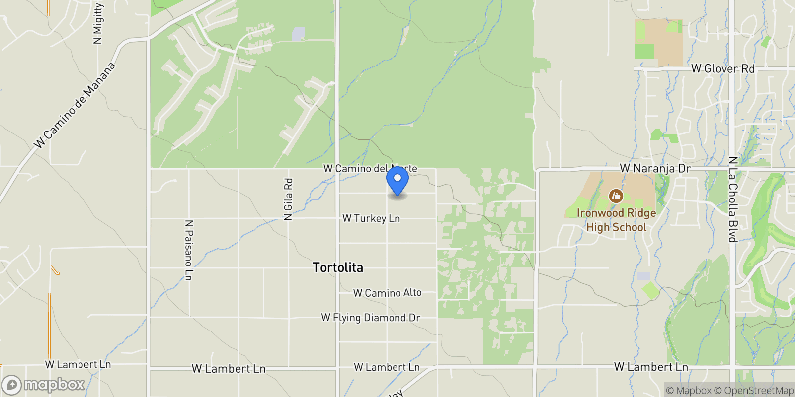 Map showing 3551 W Montgomery Street, Tucson, AZ, 85742, USA, Tucson, Arizona, United States.