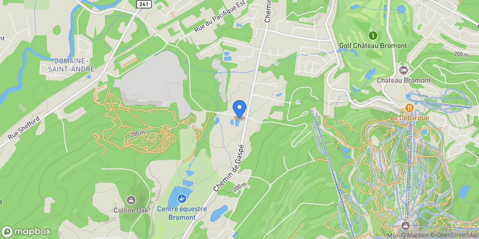 Map showing 60 Ch. des Carrières, Bromont, Quebec, Canada.