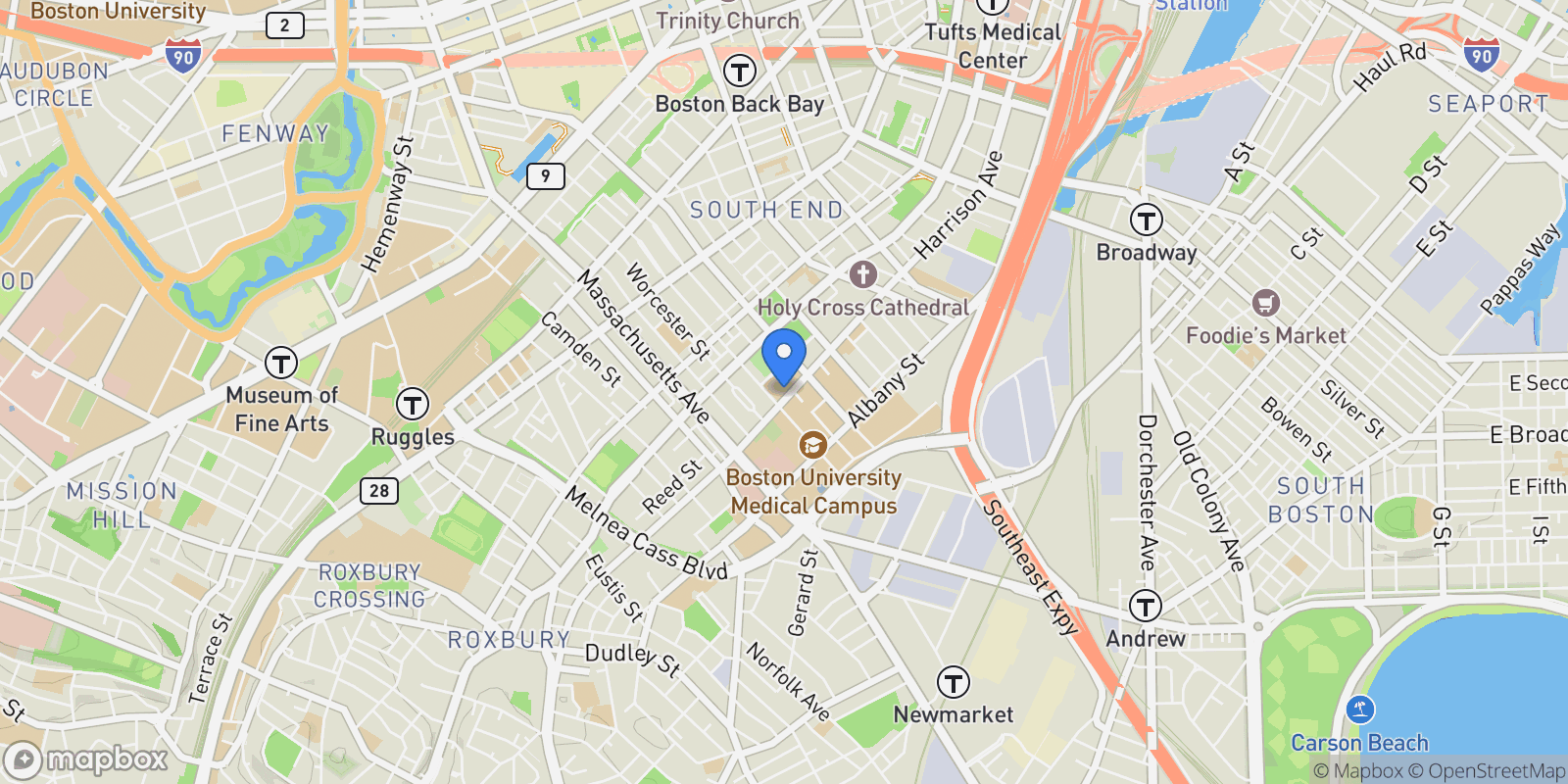 Map showing 771 Harrison Ave, Boston, Massachusetts, United States.