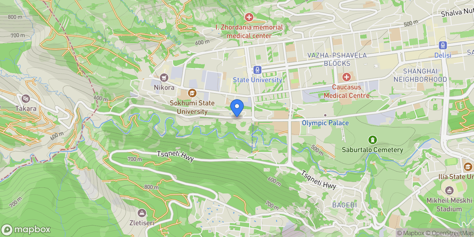 Map showing 4 Giorgi Danelia St, T'bilisi, Georgia, Tbilisi, Tbilisi, Georgia.