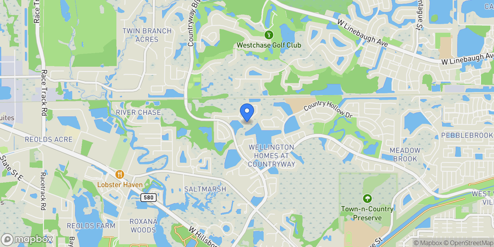 Map showing 12030 STEPPINGSTONE BOULEVARD, Tampa, Florida, United States.
