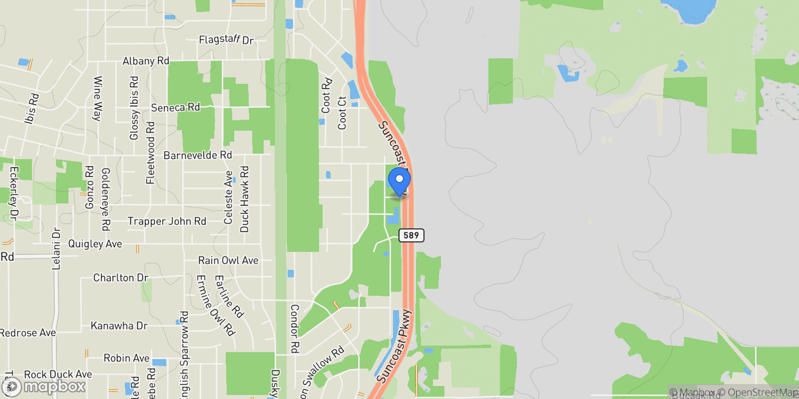 Map showing 1 Carate Osa Peninsula, ,, FL 00000, South Brooksville, Florida, United States.