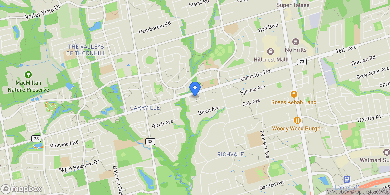 Map showing 29 Nardini Lane N, Gormley, Ontario, Canada.