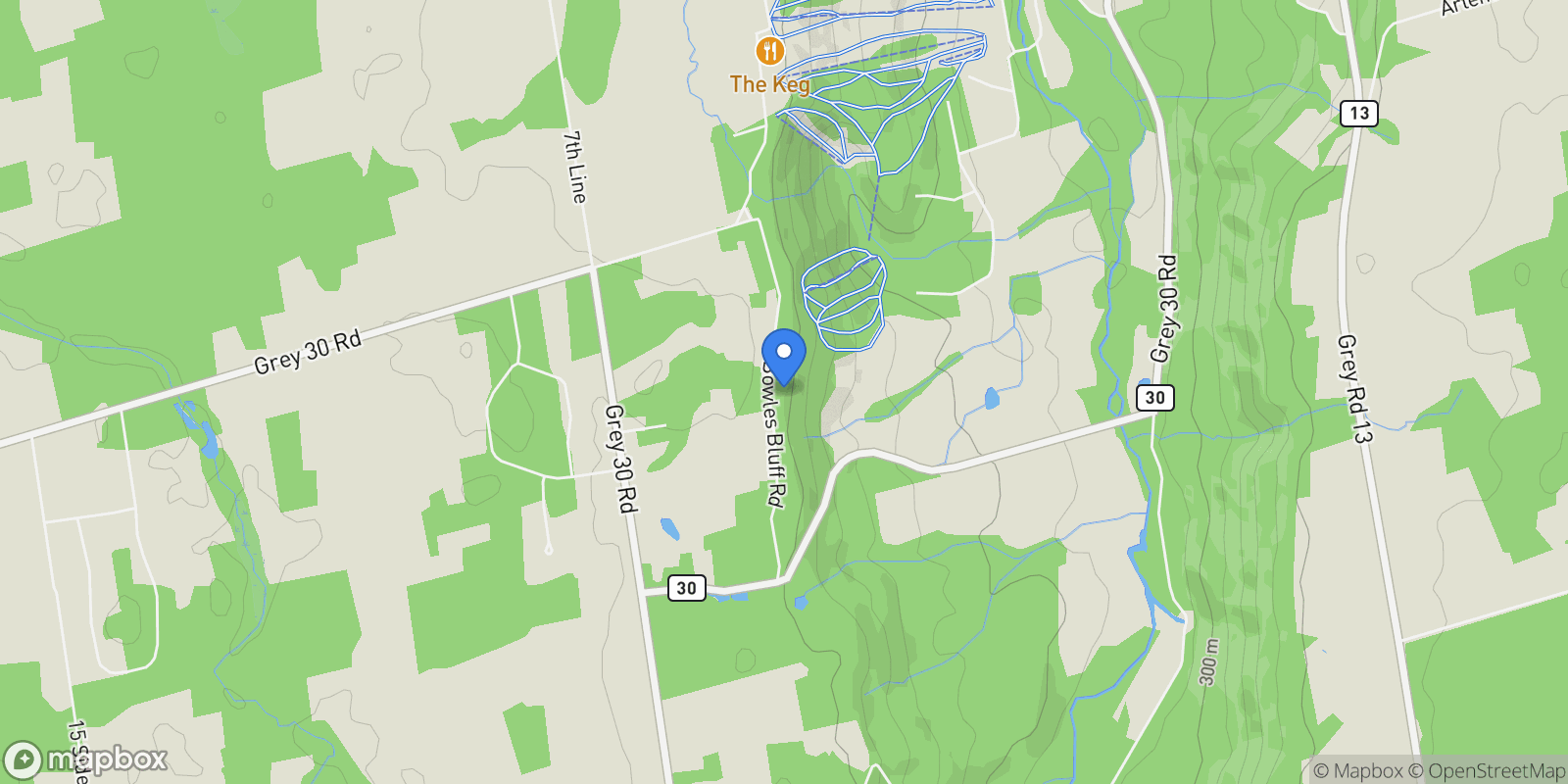 Map showing 219 Bowles Bluff Road, Grey Highlands, ON L0C 1H0, Markdale, Ontario, Canada.