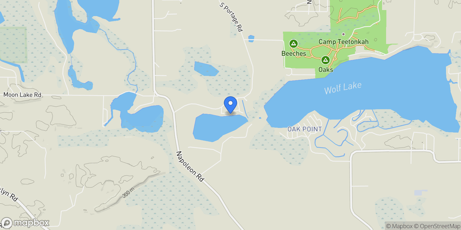 Map showing 8065 S Portage Road, Jackson, MI 49201, Leoni, Michigan, United States.