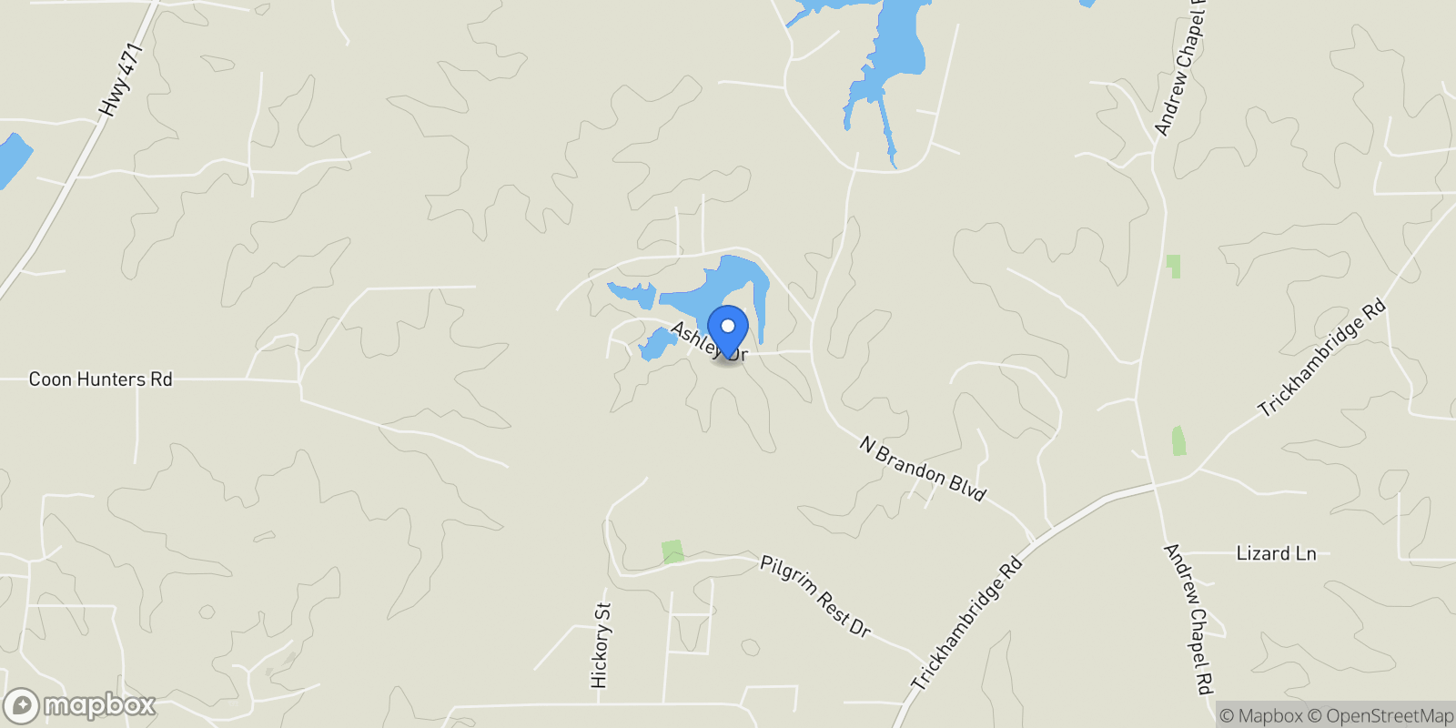 Map showing 115 Ashley Drive, Brandon, MS 39042, Brandon, Mississippi, United States.