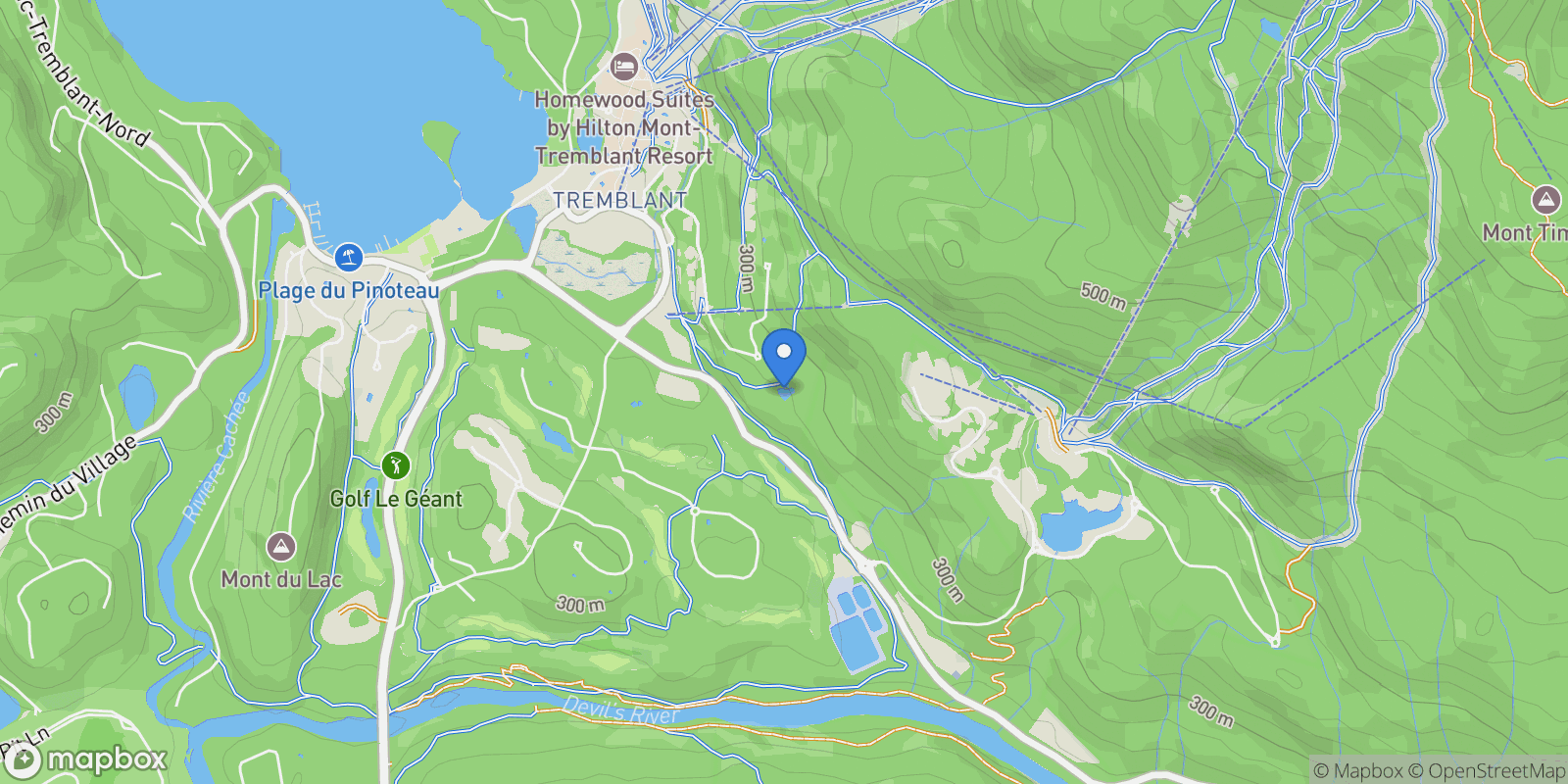 Map showing 236 Ch. de la ForÍt, Laurentides, Mont-Tremblant, Quebec, Canada.