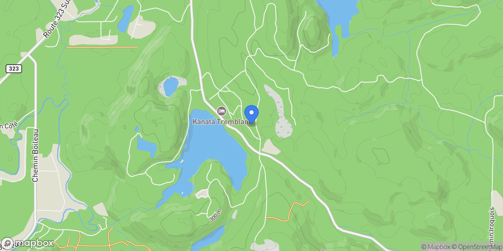 Map showing 161 Ch. du Retour-aux-Sources, Laurentides, Amherst, Quebec, Canada.