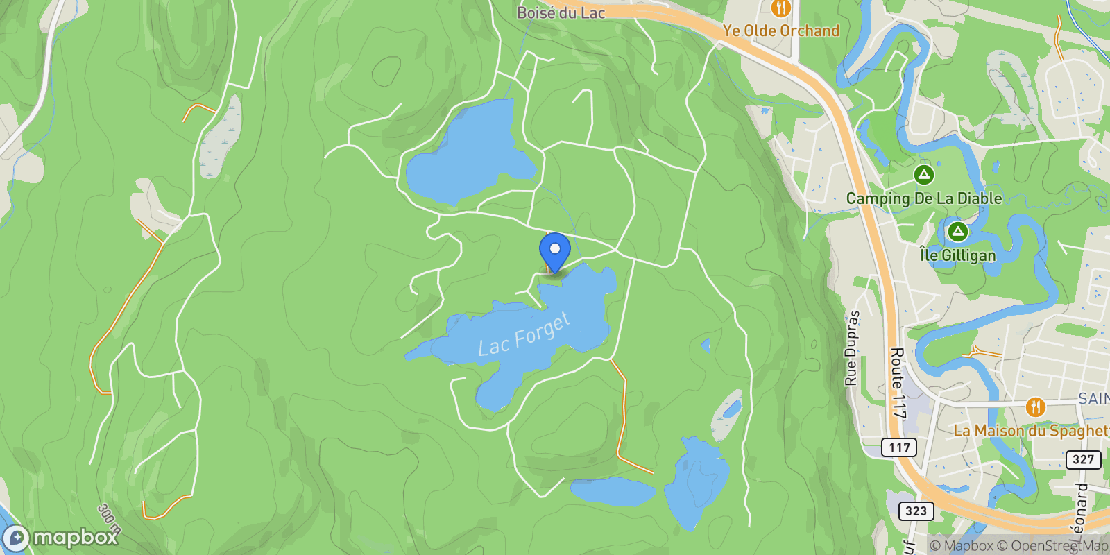 Map showing 494 Ch. LÈo-Bouvrette, Laurentides, Mont-Tremblant, Quebec, Canada.