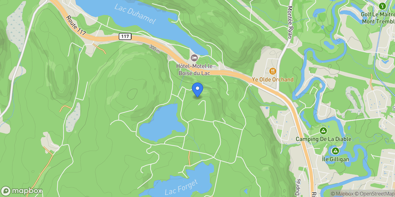 Map showing 80 Ch. des Magnolias, Laurentides, Mont-Tremblant, Quebec, Canada.
