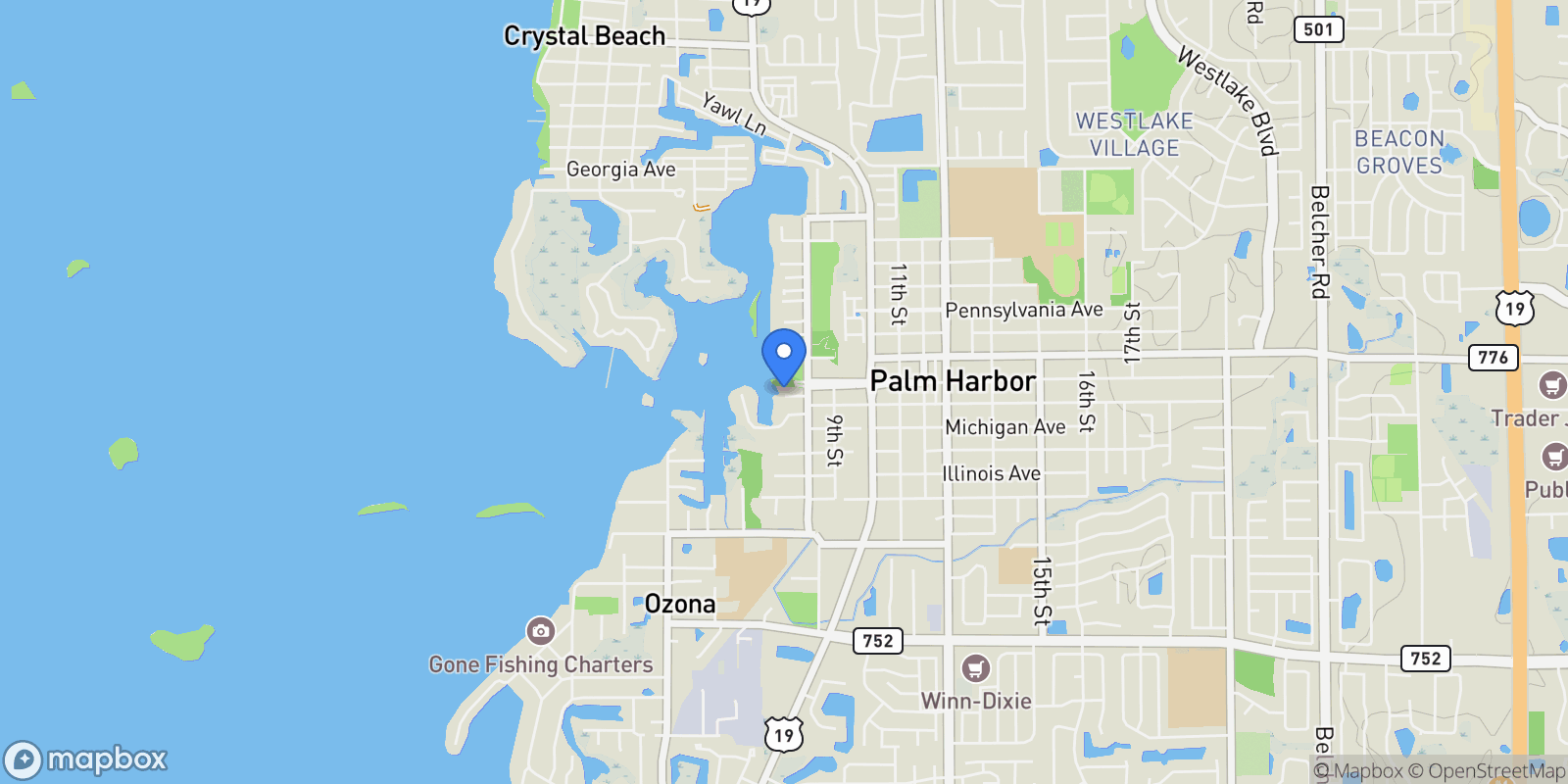 Map showing 763 JACQUELINE LANE, PALM HARBOR, FL, 34683, USA, Palm Harbor, Florida, United States.