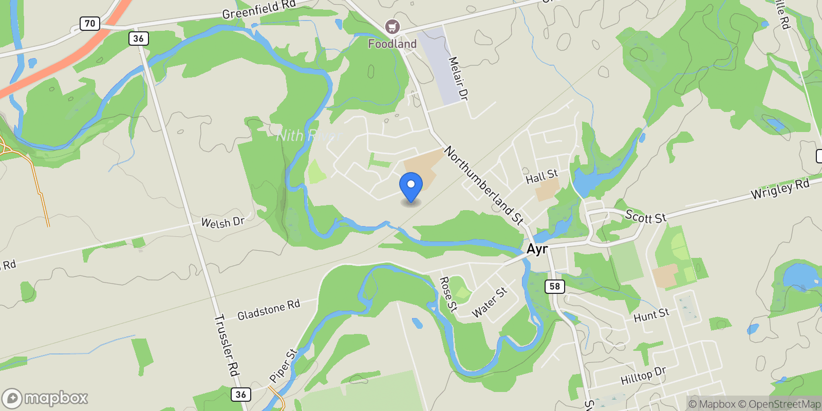 Map showing 180 Nith River Way, Ayr, Ontario, Canada.