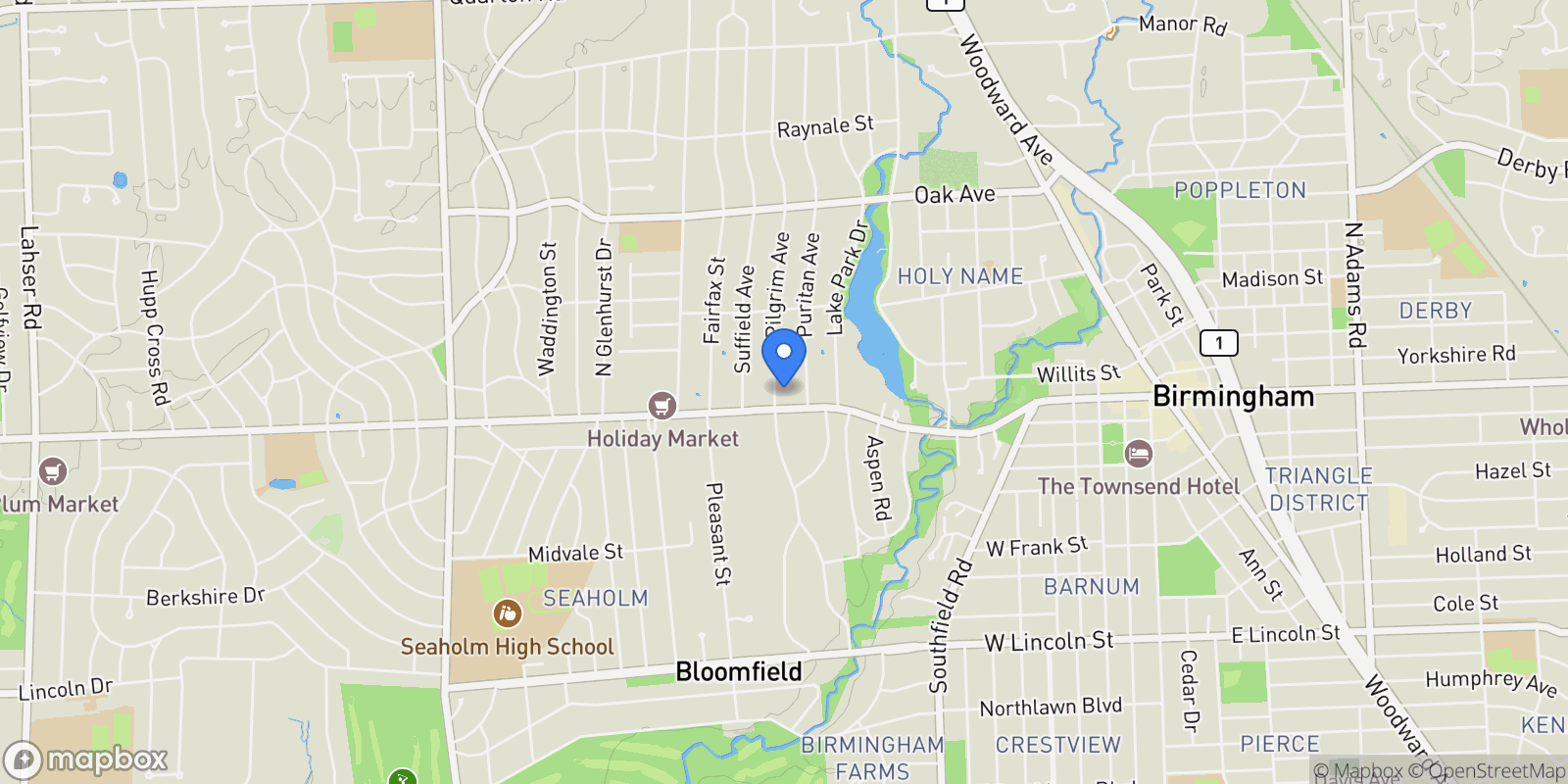 Map showing 180 Pilgrim Avenue, Birmingham, Michigan, United States.