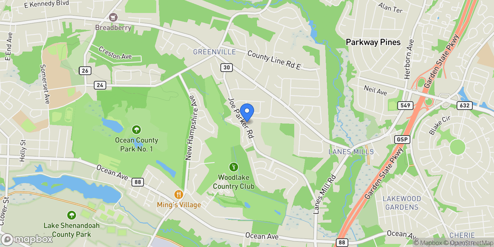 Map showing 295 Joe Parker Road, Lakewood Township, New Jersey, United States.