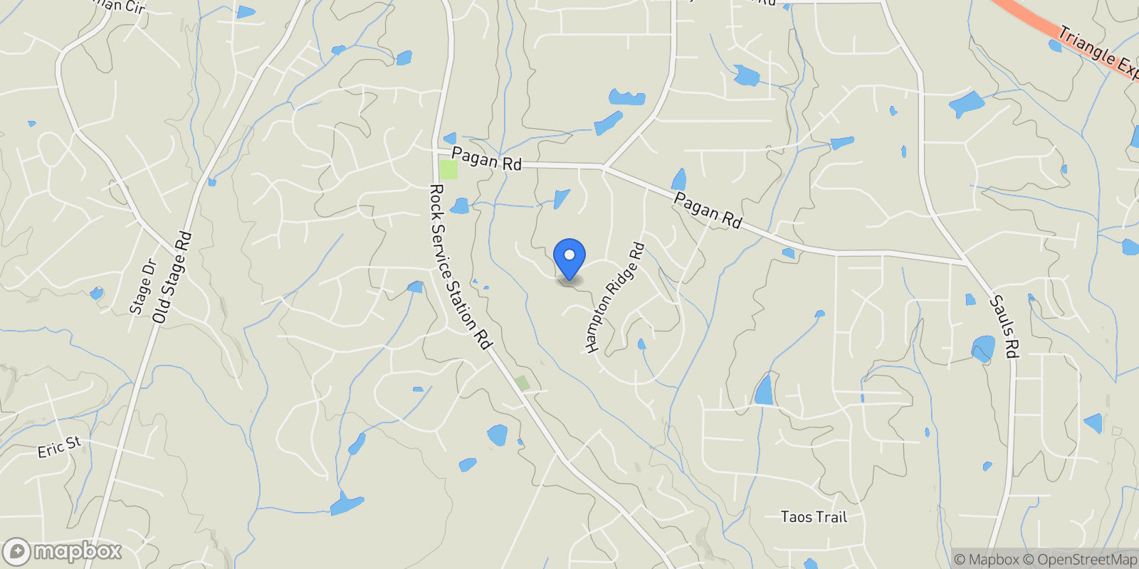 Map showing 333 Black Caviar Way, Raleigh, North Carolina, United States.