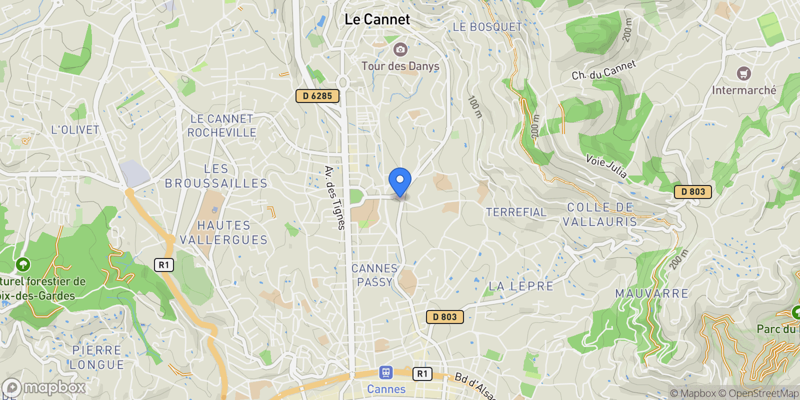 Map showing 10 Avenue de Lyon, Cannes, Provence-Alpes-Côte d'Azur, France.