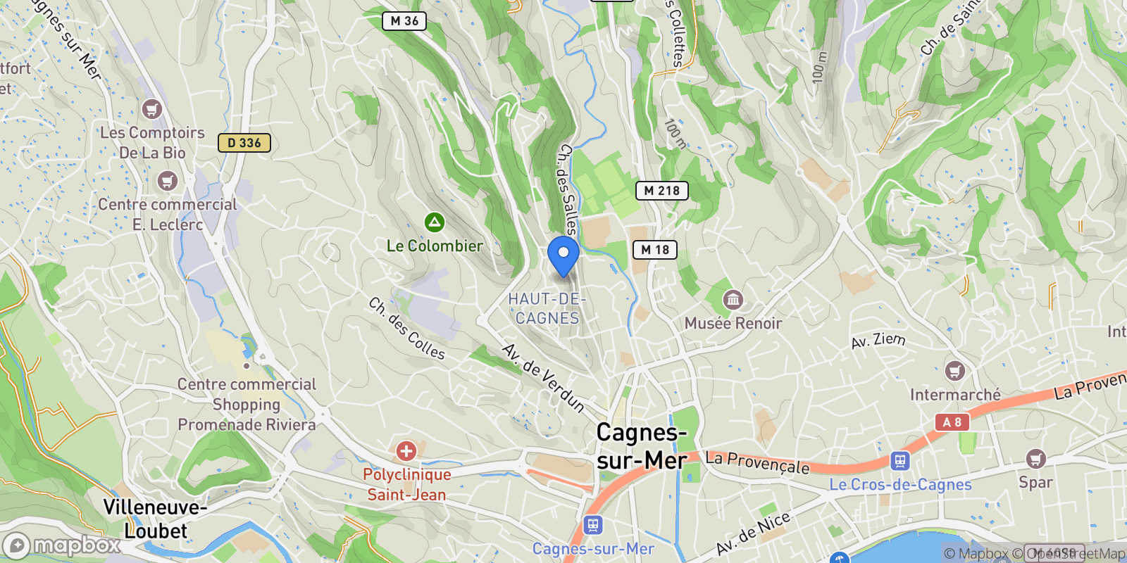 Map showing 5 Chemin de Monsieur, Cagnes-sur-Mer, Provence-Alpes-Côte d'Azur, France.