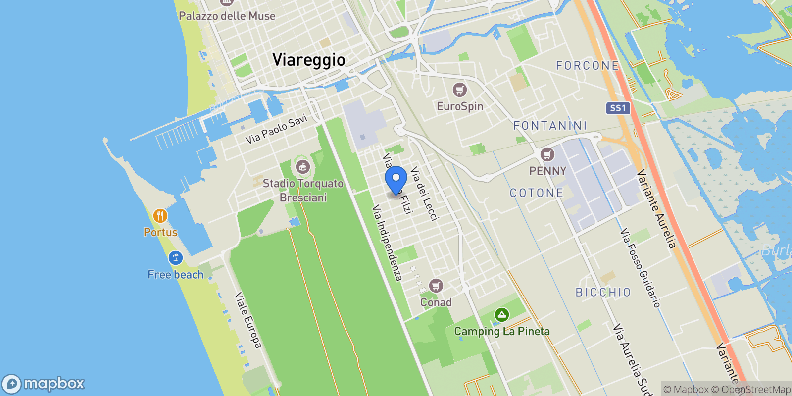 Map showing via buozzi, Viareggio, Tuscany, Italy.