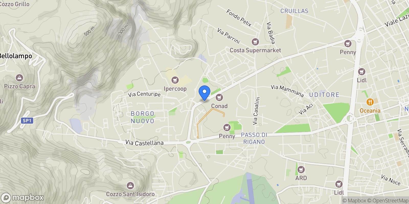 Map showing Viale Michelangelo, Palermo, Sicily, Italy.