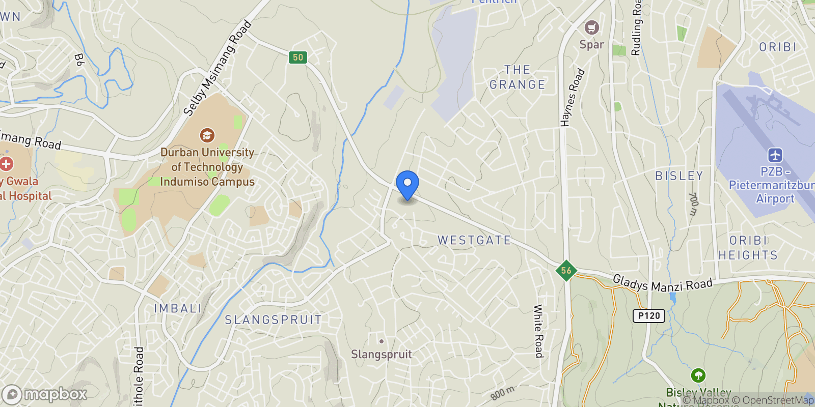 Map showing Indlovu DC, South Africa.
