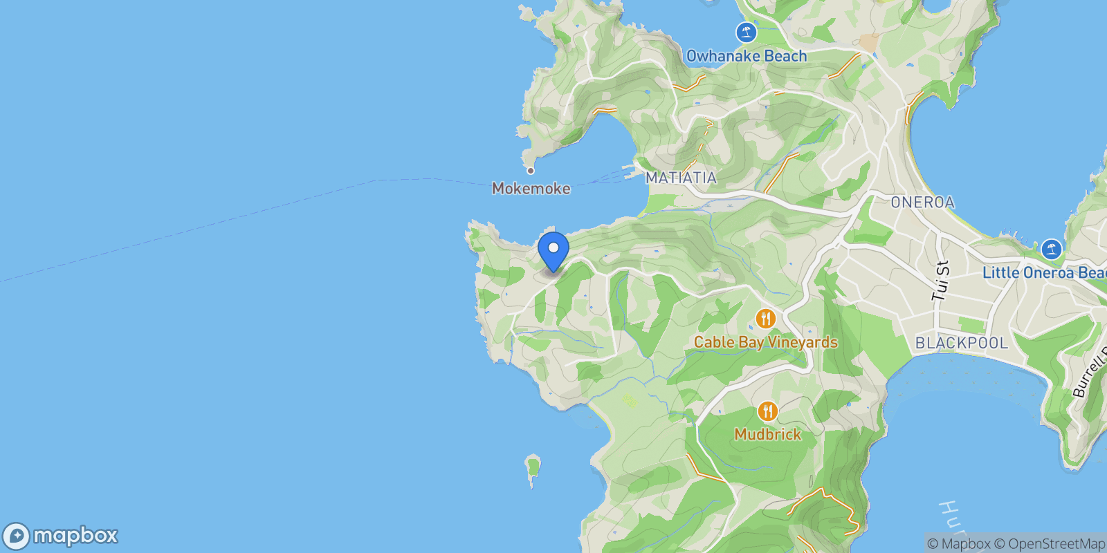 Map showing 155 Nick Johnstone Drive, Waiheke Island, AUK, Waiheke Island, Auckland, New Zealand.