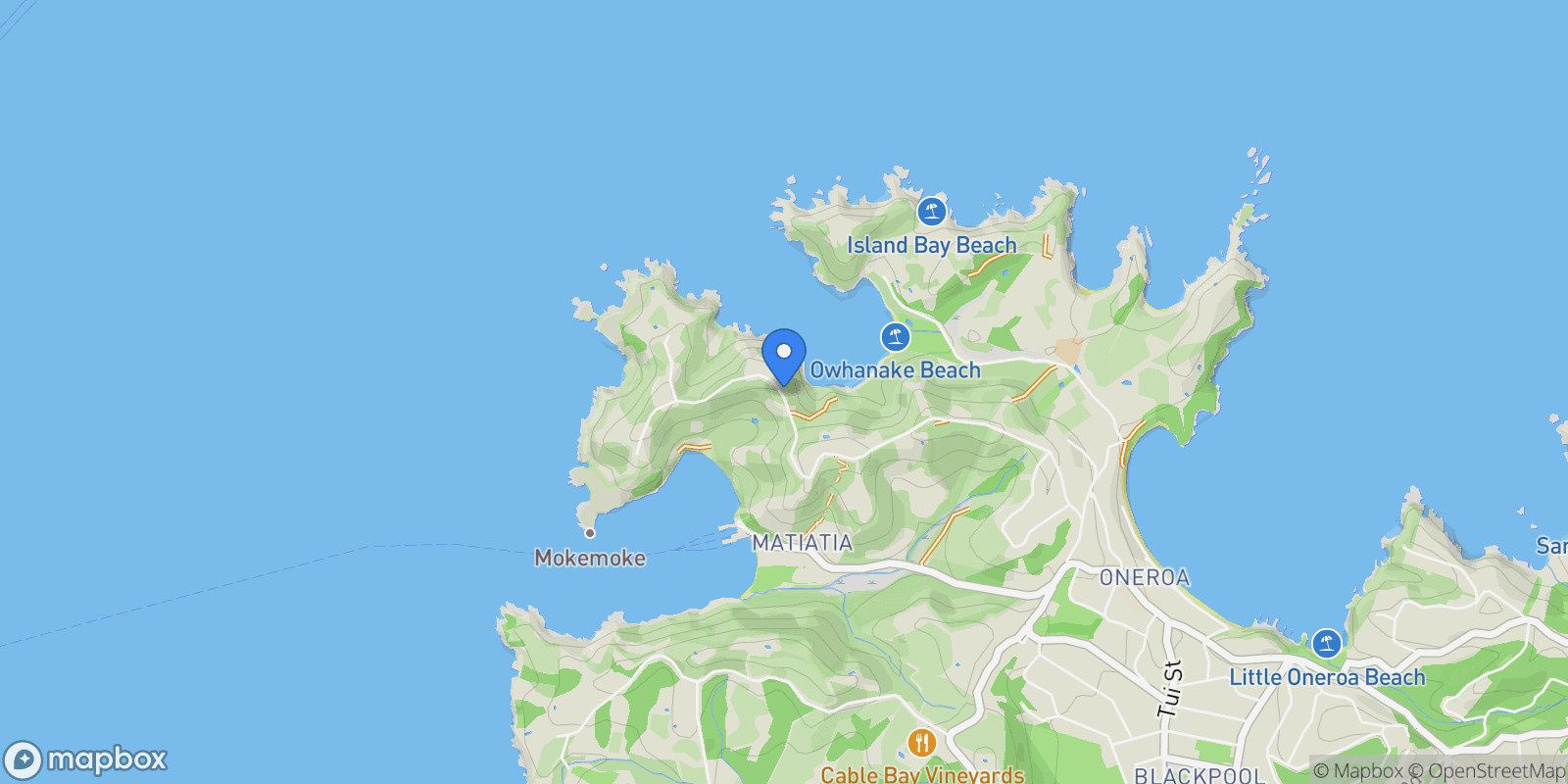 Map showing 155 Delamore Drive, Oneroa, Waiheke Island, AUK, Waiheke Island, Auckland, New Zealand.