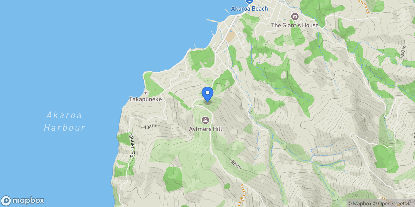 Map showing 41 Lighthouse Road, Akaroa, CAN 7520, Akaroa, Canterbury, New Zealand.