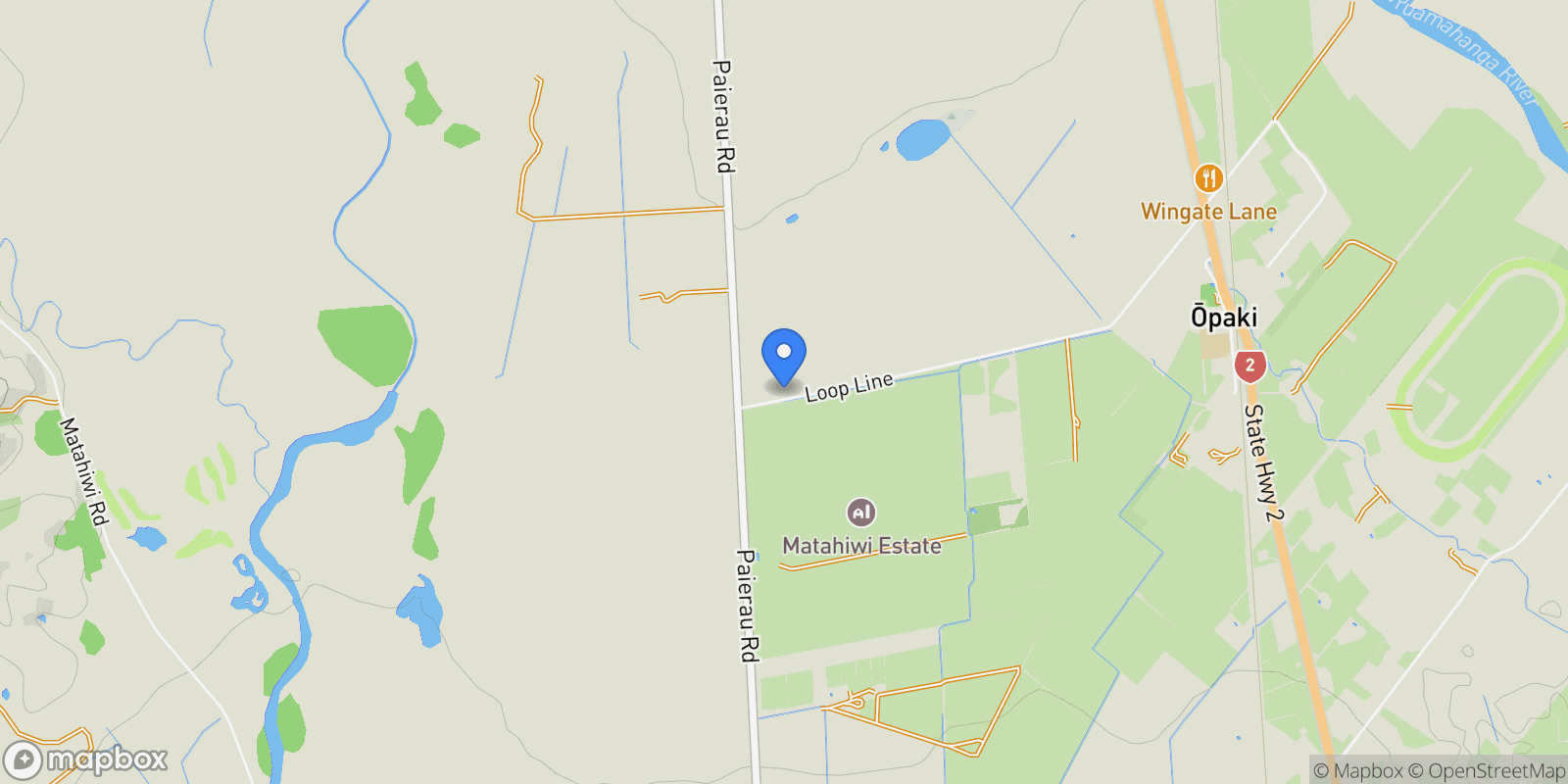 Map showing 174 Loop Line Opaki Masterton, Wairarapa, WGN, Masterton, Wellington, New Zealand.