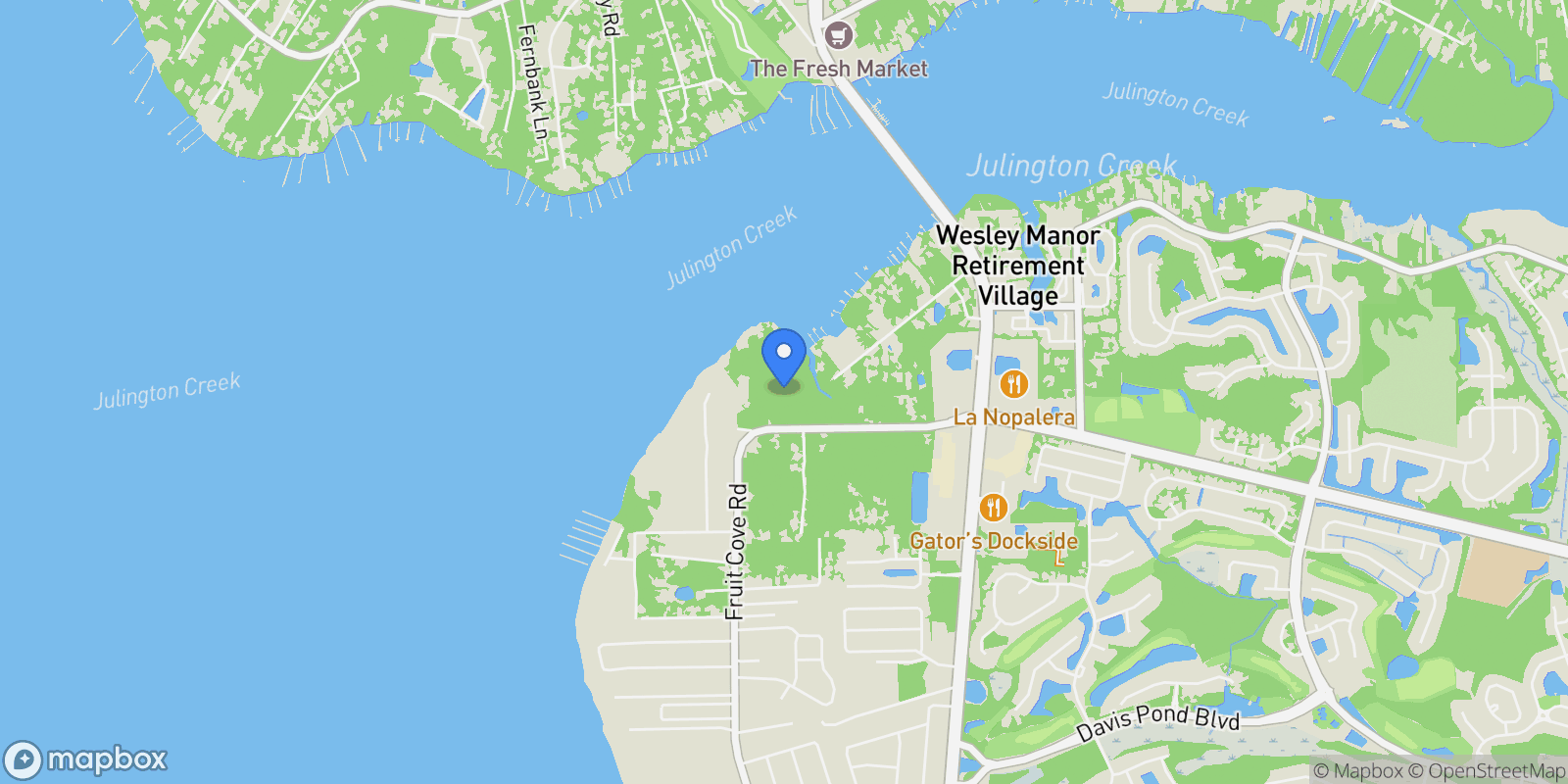 Map showing 1273 FRUIT COVE Road N, Fruit Cove, Florida, United States.