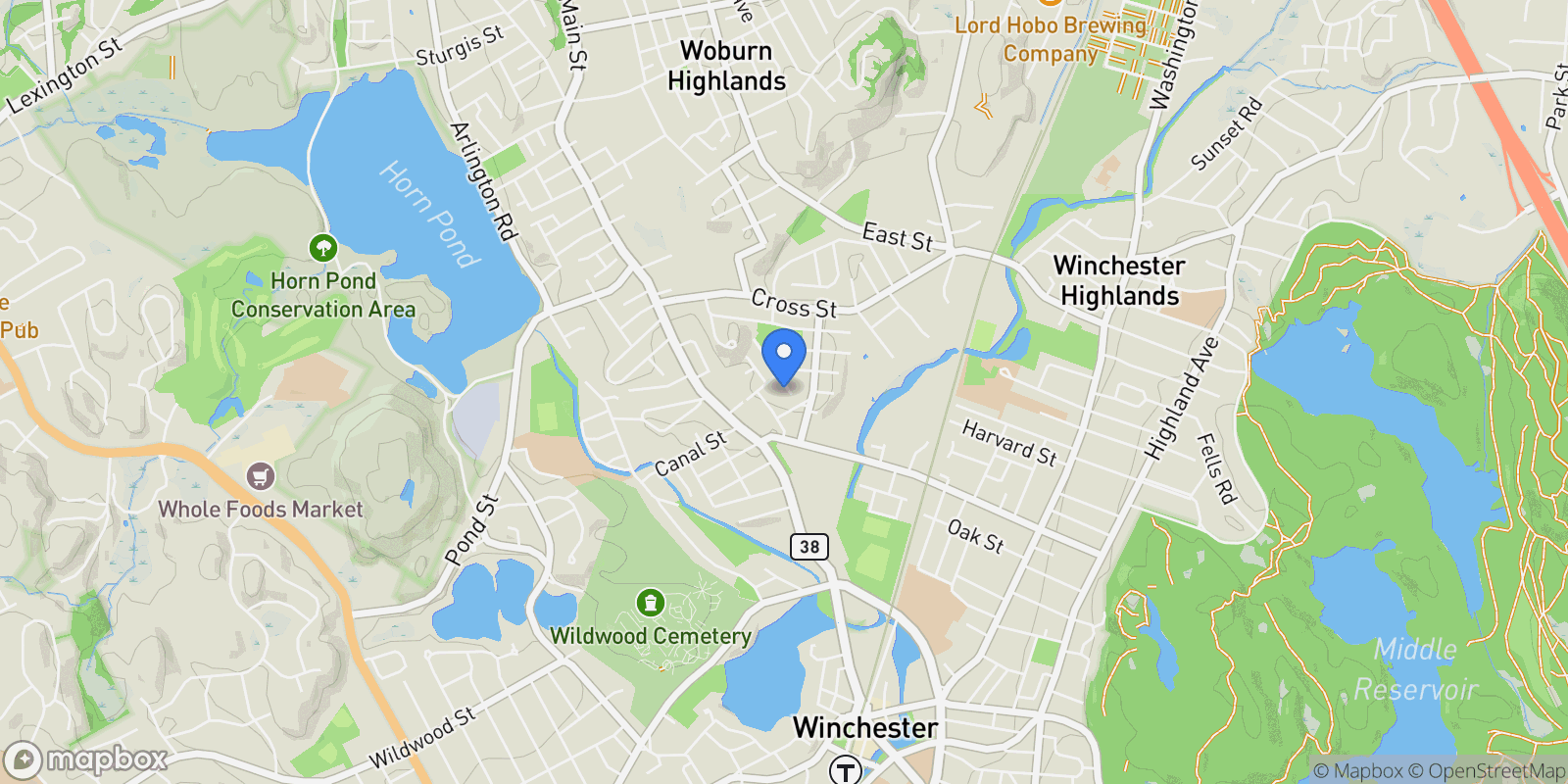 Map showing 29  Shepard Ct , Winchester, MA 01890, Winchester, Massachusetts, United States.