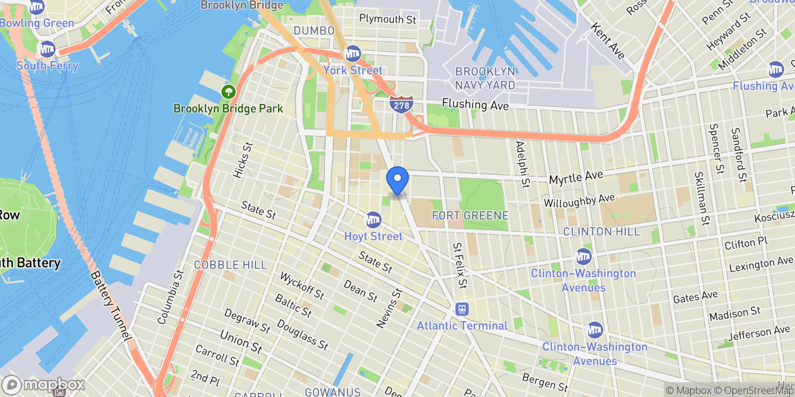 Map showing 138 Willoughby St, Brooklyn, NY 11201, USA, New York, New York, United States.