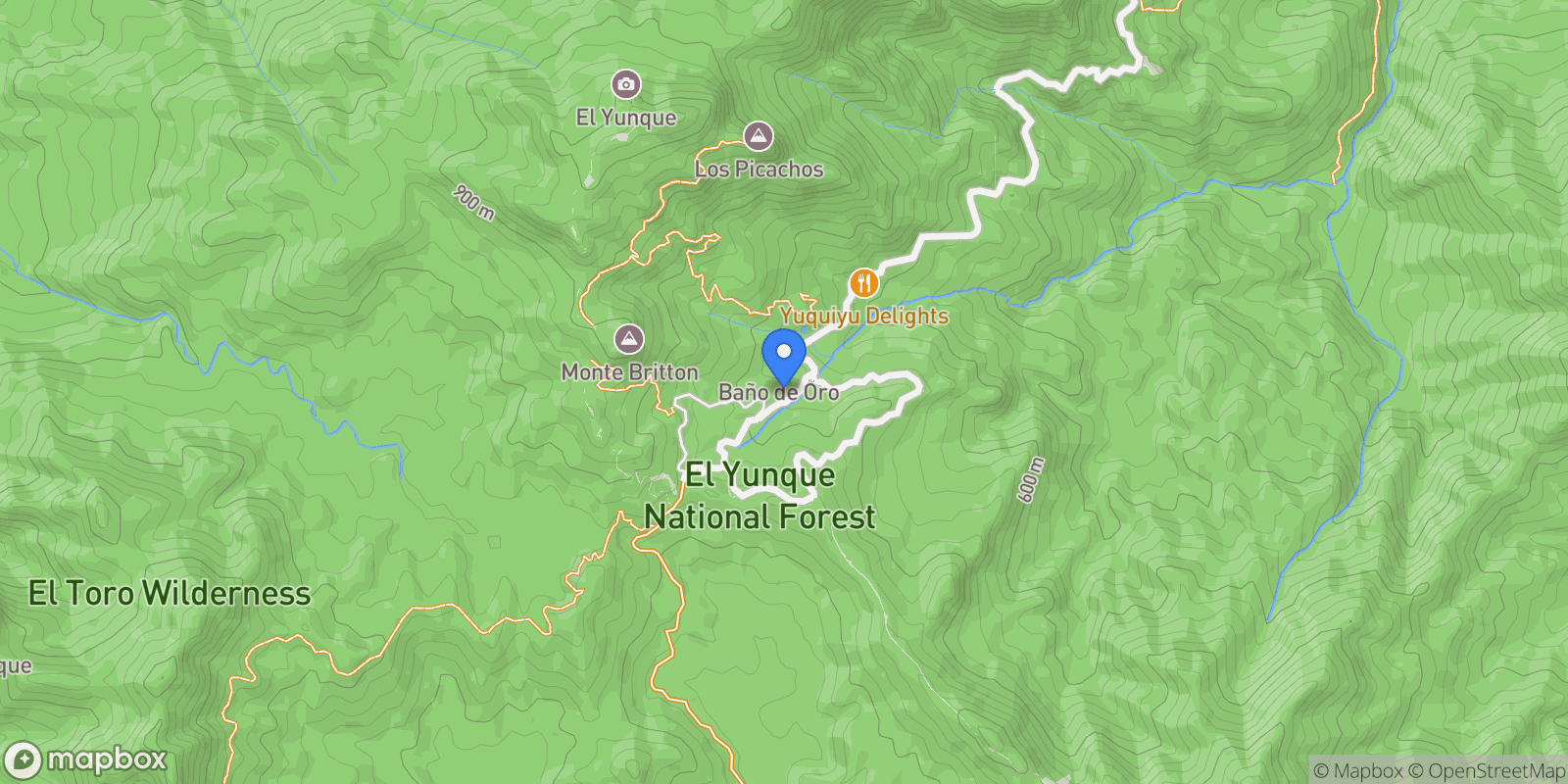 Map showing Naguabo RIO BLANCO, PR 191, NAGUABO PR 191, Hato Candal, Río Grande, Puerto Rico.